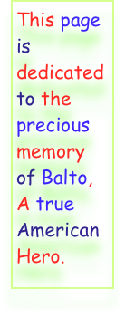 This page is dedicated to the precious  memory of Balto, A true American  Hero.
