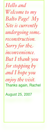 Hello and Welcome to my Balto Page! My Site is currently undergoing some reconstruction. Sorry for the inconvenience. But I thank you for stopping by and I hope you enjoy the visit.  Thanks again, Rachel  
August 25, 2007